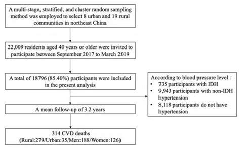 Prevalence of isolated diastolic hypertension and the risk of cardiovascular mortality among ...