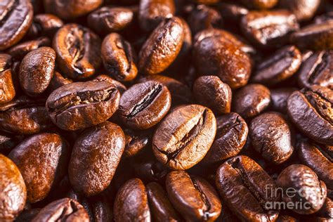 Coffee Beans Close-up Photograph by Colin and Linda McKie