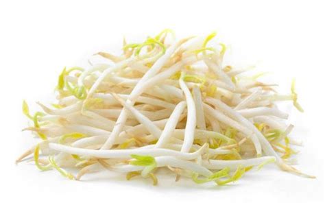 TAUGEH/BEANSPROUT 豆芽 3kg/bag (Sold per Bag) — HORECA Suppliers | Supplybunny