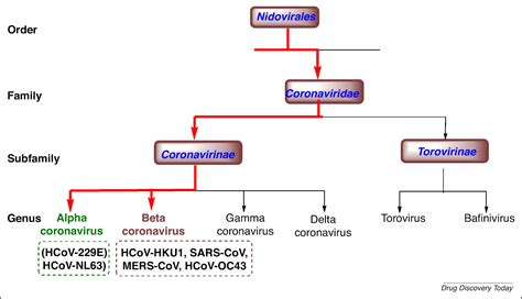 Basic Virology and Immunology - COVID-19 Curriculum