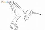 Hummingbird Coloring Pages sketch template
