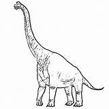 Brachiosaurus Coloring Pages sketch template