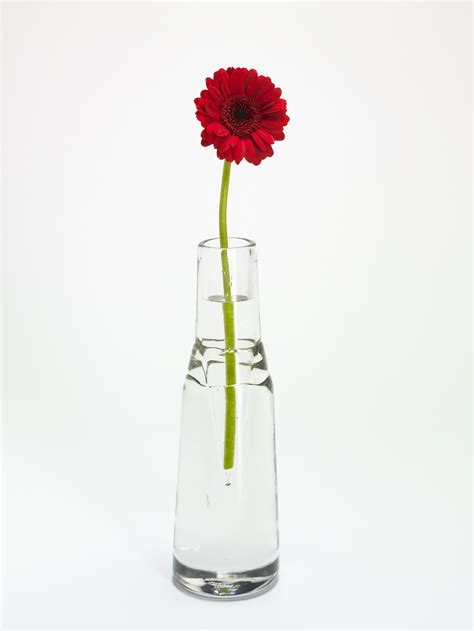Picture Of Flowers In Vase - Beautiful Flowers
