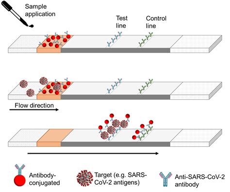 Lateral flow assays – Reagents and equipment for R&D of lateral flow assays