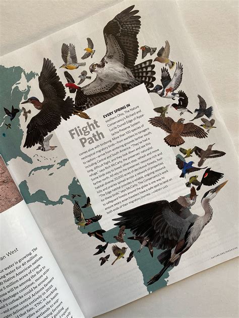 Nature Conservancy Magazine Illustration on Behance