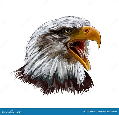 How To Draw A Realistic Eagle - Understandingbench16