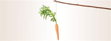 The Carrot and The Stick - David T Rosen, Entrepreneur