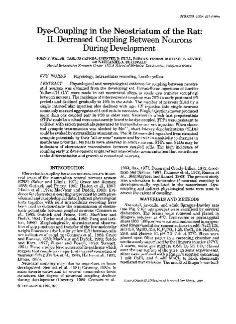 (PDF) Dye-Coupling in the neostriatum of the rat: II. Decreased ...