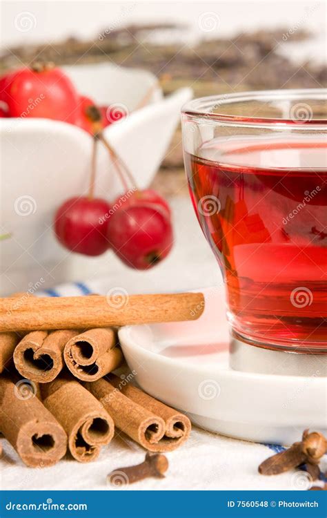 Rose hip tea stock photo. Image of beverage, color, fruit - 7560548