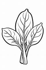 4 Spinach Coloring Pages For Kids  ShadeMaze sketch template