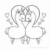 Cute Llama Coloring Pages At GetColoringscom  Free Printable sketch template
