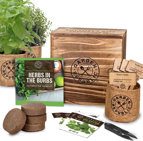 The 8 Best Herb Garden Kits of 2022 | by The Spruce