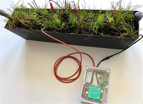 Plant-Microbial Fuel Cell Powered IoT - PC Perspective