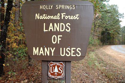 Holly Springs National Forest Campgrounds