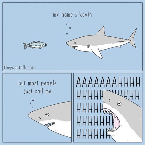 Kevin the Shark | Cute jokes, Funny jokes, Funny animal comics