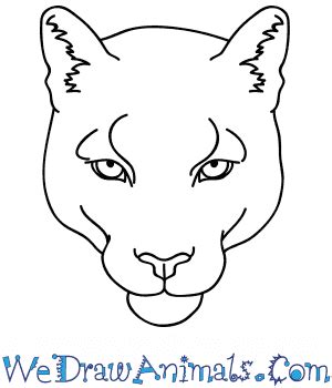 Mountain Lion Drawing For Kids