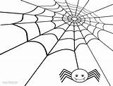 Spider Web For Kids Coloring Pages sketch template