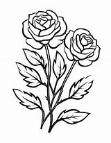 Free Rose Coloring Pages For Kids And Adults To Enjoy  Skip My Lou sketch template