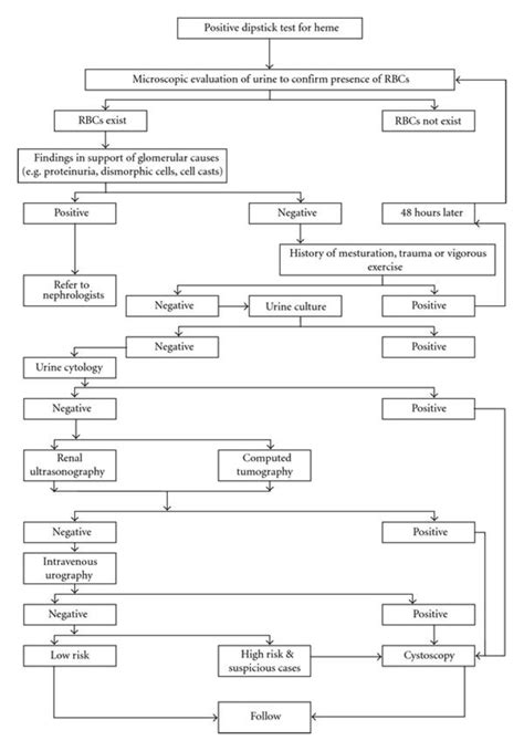 Algorithmic approach to microscopic hematuria in females. | Download ...