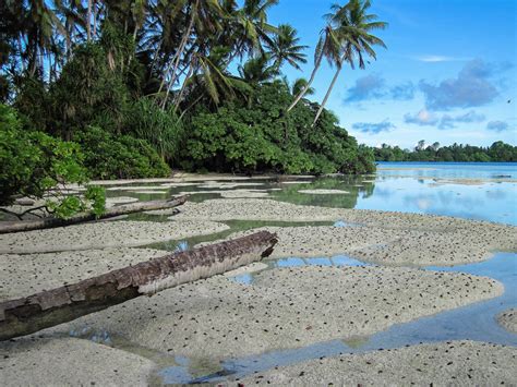 Island Conservation Palmyra Atoll Photo Gallery - Island Conservation