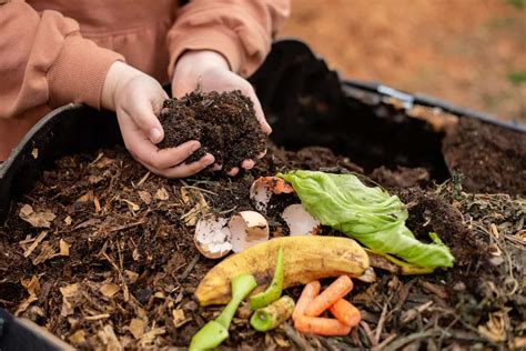 How to Improve Soil Drainage in Your Garden - Gardening Channel