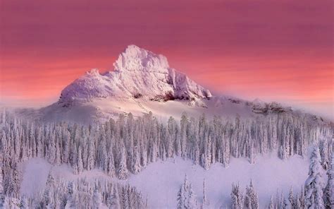 Winter Sunset Wonderland Wallpaper