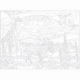 Creative Haven Around The World Color By Number Adult Coloring Books  sketch template