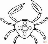 Crab coloring Page  Free Printable Coloring Pages sketch template