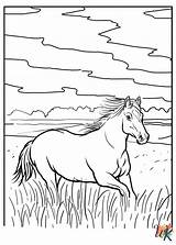 28 Horse Coloring Pages For Kids A Fun And Educational sketch template