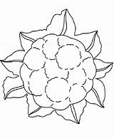 Couve Colorir Folha Ausmalbild Collard Greens Foglie Galega Foglia  sketch template