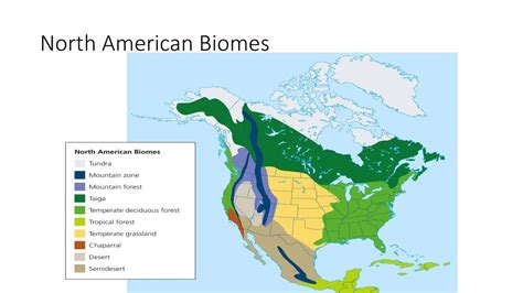 Biomes Of North America Map - Little Pigeon River Map