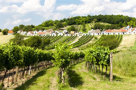 Austrian wine regions - Wine tasting & tours | Winetourism.com