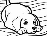 Rug Coloring Page At GetColoringscom  Free Printable Colorings Pages sketch template