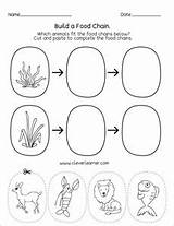 Simple Food Chain Examples Sketch Coloring Page sketch template