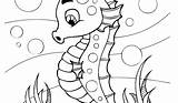 Coloriage Hippocampe A Imprimer Seahorse 3 Animals – Printable Coloring  sketch template