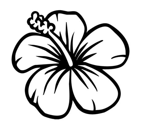 flower clipart white 10 free Cliparts | Download images on Clipground 2024