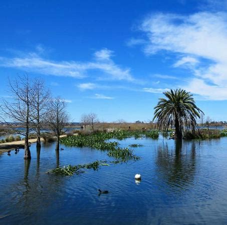 Lake Wendouree (Ballarat) - 2021 All You Need to Know BEFORE You Go | Tours & Tickets (with ...