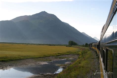 Alaska Railroad Day Trip - Scenic with Glaciers, Wildlife, and More