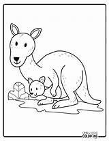 Kangaroo Coloring Pages Free PDF Printables  Simply Love sketch template