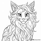 Maine Coon Cat Coloring Pages  Free & Printable sketch template