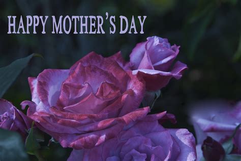 Happy Mother's Day Card Free Stock Photo - Public Domain Pictures