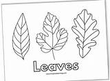 All Different Coloring Pages 2025 sketch template