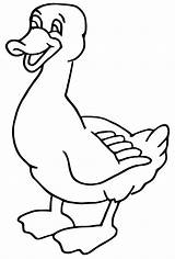 Eend Canard Enten Kleurplaat Eenden Coloring Malvorlage Coloriages  sketch template