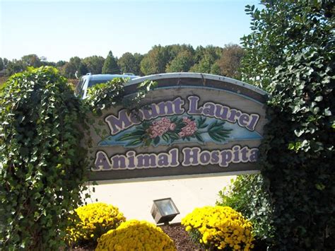 Mount Laurel Animal Hospital - Mount Laurel, NJ