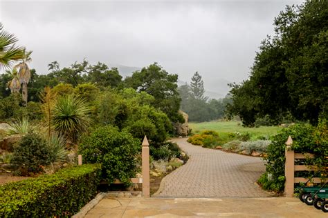 Santa Barbara Botanic Garden is Nothing Short of a National Park - Roads and Destinations