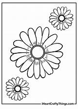 Daisy Rose Petal Coloring Pages sketch template