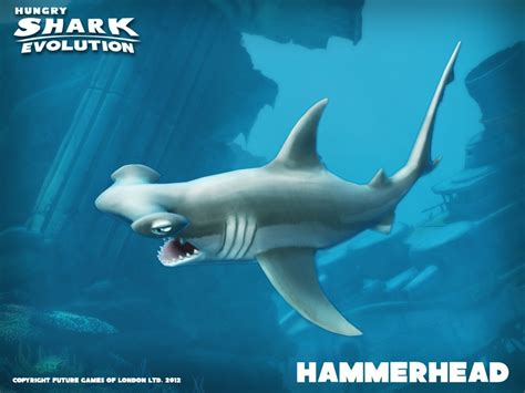 Hammerhead shark - Hungry Shark Evolution