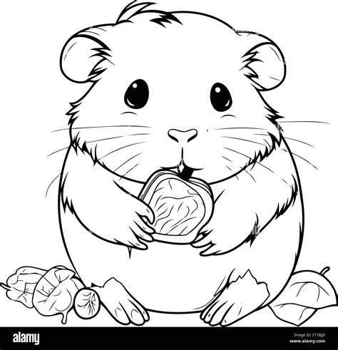 Hamster with an orange. Black and white illustration for coloring book Stock Vector Image & Art ...