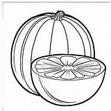 Cantaloupe outline Black And White Cute coloring Book  Premium AI sketch template