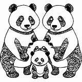 Panda Family Coloring Page · Creative Fabrica sketch template